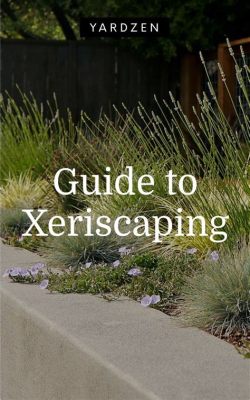  Xeriscaping for Dummies: Een droogtetolerante ode aan de Thaise tuin